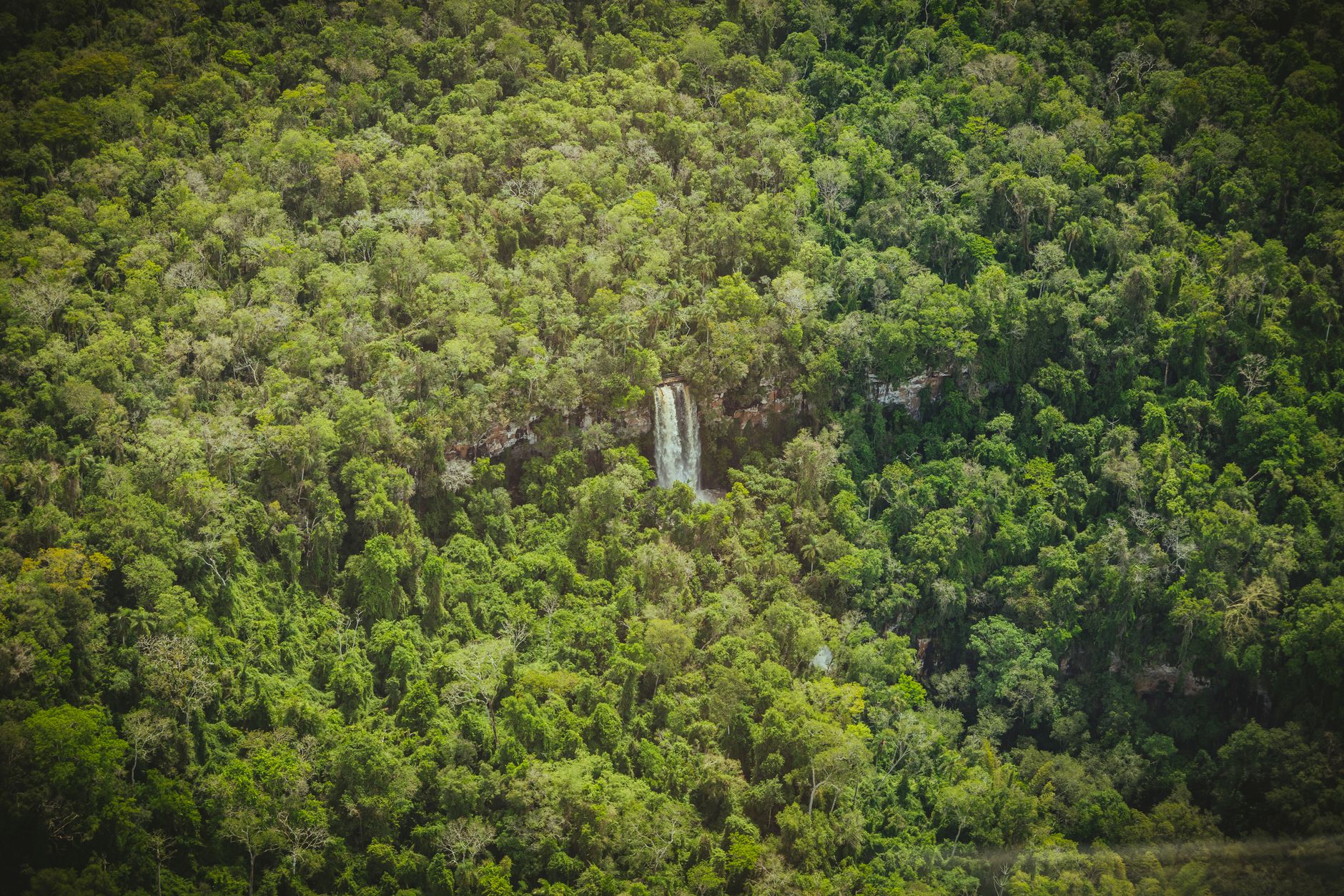 Chutes Angel au Venezuela entourées de forêt tropicale